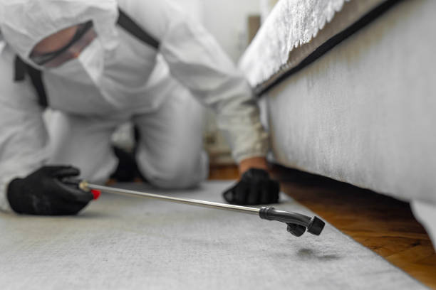 Professional Bed Bug Control technician working in Sudan, TX